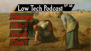 Growing Global Wheat Crisis? -- Low Tech Podcast, No. 48