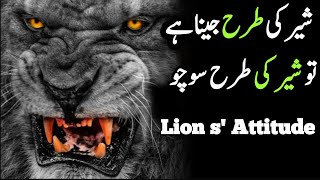 Lion Mentality | Lion motivational video in Hindi & Urdu | Most Powerfull Motivational Video
