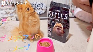 新しいドッグフードを実食/飼い主も食べてみたら…