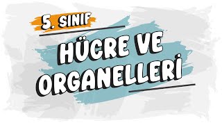 Hücre ve Organelleri | 5. Sınıf Fen Bilimleri #2025