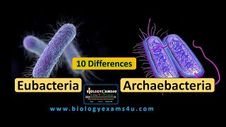 10 Differences between Eubacteria and Archaebacteria || Eubacteria vs Archaebacteria