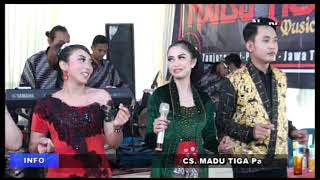 03 PAMBUKO ALL ARTIS MADU TIGA