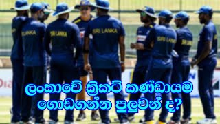 අපේ ක්‍රිකට් කණ්ඩායම ගොඩගන්න පුලුවන් ද?