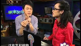 原来如此 2011年 第44期 如何有效降低噪音（上）