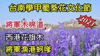 【2023台南景點】學甲蜀葵花文化節｜將軍區木棉道｜西港區金砂里花旗木｜將軍漁港秀里蚵嗲