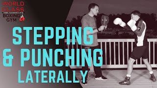 Punching and Stepping Laterally Drill