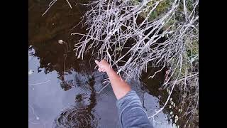 THE ABERRATION- Fishing the North Country of New York for GIANT BASS!