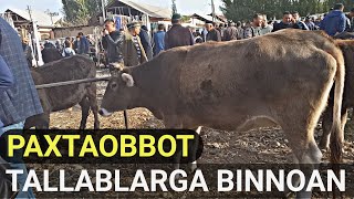 ANDIJON PAXTAOBBOT TUMANI TALLABLARGA BINOAN