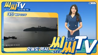 [See Sea TV] 23년6월16일 해무 주의! 해무 CCTV 확인하고 바다 떠나세요~/ 해양예보 On바다