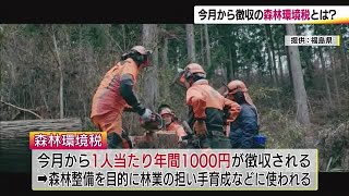 6月から徴収される「森林環境税」　森林の整備が目的　減少続く林業の担い手の育成にも活用 (24/06/03 19:25)