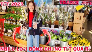 TẾT 2025 CHỢ Ở MỸ TRADER JOE'S BÁN BÔNG RẺ MUA CHƯNG LAN TRÚC, CÚC, TRÁI CÂY QUÝT SUMO 29 THÁNG CHẠP