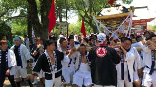 2018 07 15　01　若宮八幡社夏季大祭神輿巡幸 4