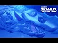 NEW NARRALLICLYUS SHARK REVEALED!!! (HUNGRY SHARK EVOLUTION)