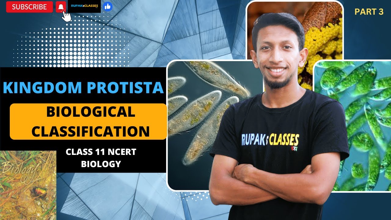 Kingdom Protista, Biological Classification, Class 11 NCERT Biology ...