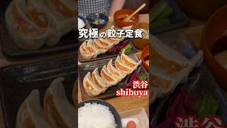 肉汁が溢れまくる究極の餃子定食！【全国】肉汁餃子のダンダダン