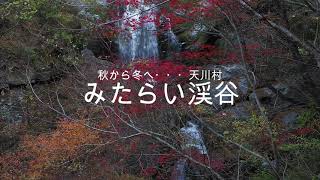 みたらい渓谷　秋から冬へ