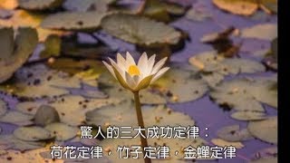 驚人的三大成功定律：荷花定律，竹子定律，金蟬定律｜我要健康富貴有智慧