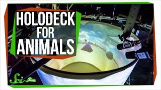 We Built a 'Holodeck' for Animals!