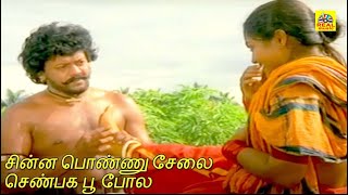 சின்ன பொண்ணு சேலை செண்பக பூ போல #  Ilayaraja , S. Janaki Superhit Song # Vairamuthu