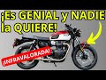 ¿Por qué a la gente NO le GUSTAN estas MOTOS? Las 5 motocicletas más subestimadas en 2024