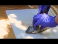 Cleaning Crappie | Indiana DNR