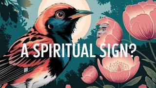 Why Do Birds Suddenly Appear? The Hidden Spiritual Meaning Behind It