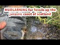 Fossil Hunting Scotland Uk on the jurassic coast