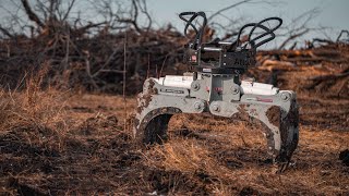 Land Clearing with a Hydra Grapple \u0026 Yanmar ViO 80