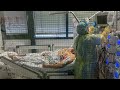 Germany considers new Covid-19 curbs, compulsory vaccines • FRANCE 24 English