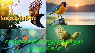 வாழ்க்கையில் எது நடந்தாலும் பறந்து செல்! Whatever happens in life, fly away - #successfullife