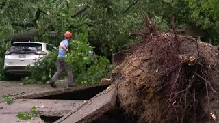 Widespread damage after storms hit Metro Detroit