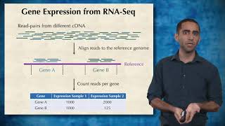 Gene Expression 3: Using RNA sequencing to analyze gene expression