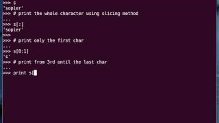 Python Tutorial - String Slicing Example