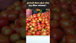 தக்காளி விலை திடீர் சரிவு! ஒரு கிலோ எவ்வளவு? | Tomato Price