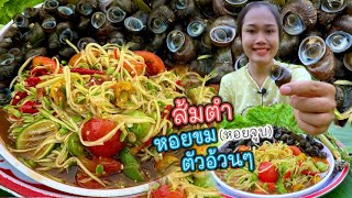 ต้มหอยขมตำบักหุ่ง แนวกินบ้านเฮา แซ่บเข้ากันหลายจ้า