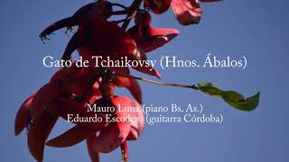 Gatito de Tchaikovsky (gato) (Hnos. Abalos) Mauro Luna (piano) y Eduardo Escudero (guitarra)