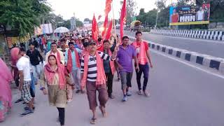 Ambaji rath yaatra