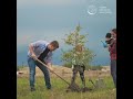 These tiny urban forests are helping cities to adapt to climate change