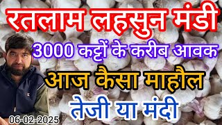 रतलाम लहसुन मंडी आज कितनी तेजी मंदी !! Today Garlic price in ratlam m.p mandi  !!