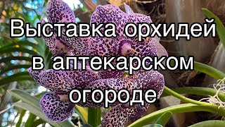 Фестиваль орхидей в аптекарском огороде || Тропическая зима || Экскурсия по аптекарскому огороду