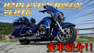 【バイク紹介】愛車の「ハーレー」を紹介します！