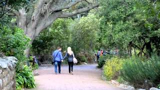 Kirstenbosch celebrates 100 years