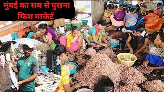 ससून डॉक Fish Market | Mumbai's Biggest Fish Market | Fish लिलाव | Wholesale Fish Market.