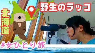 【北海道女ひとり旅】野生のラッコ探しに来たら、この町の虜になった