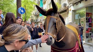 La MULASSA de SALOU - Trobada de Mulasses - Festes de Primavera (Girona 2023)