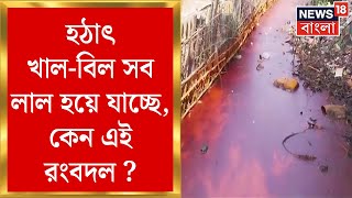 Howrah News : হঠাৎ খাল-বিল সব লাল হয়ে যাচ্ছে, কেন এই রংবদল ? আতঙ্কে গ্রামবাসীরা | Bangla News