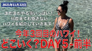 4K【3度目のハワイ女子旅】知る人ぞ知るハワイのビーチ。オアフ東海岸のお勧め