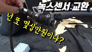 이건 또 몇십만원일까?-타타대우프리마 녹스센서교환[EP.290]