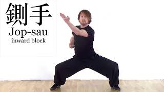 Learn kung fu | Choy Li Fut blocks