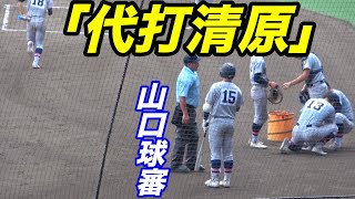 「代打清原」登場！！山口球審も嬉しそう！！スターの息子の登場に球場は大歓声！！